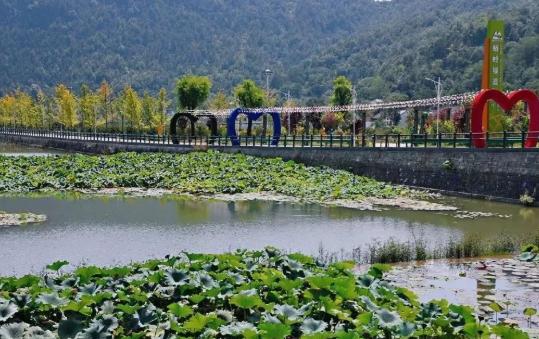 古韵老街、秦岭文化、山水美景……商洛这3条精品旅游线路赶快收藏