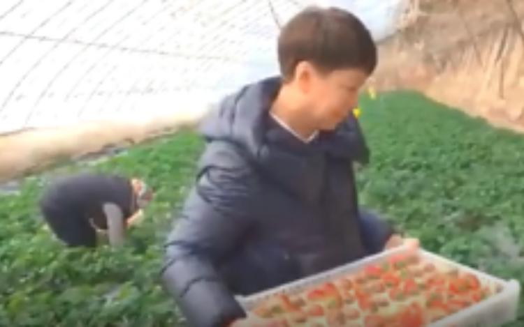 新农人努力拼搏的样子,新农人唤醒乡村新活力