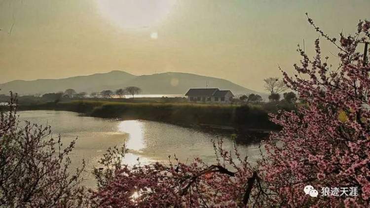 农历三月初五清明几年一次,三月初五清明能烧纸吗