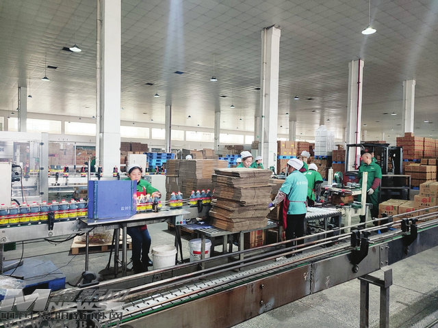 加快推进产业数字化转型升级,加快推进食品产业转型升级