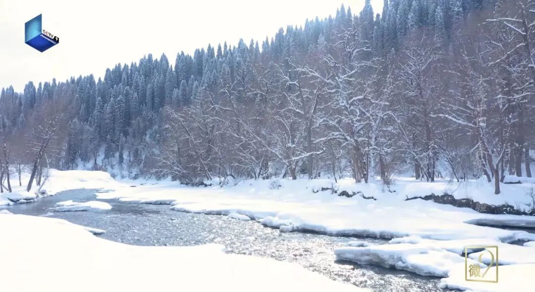 滴！跟着CCTV的镜头打卡*疆新**之春