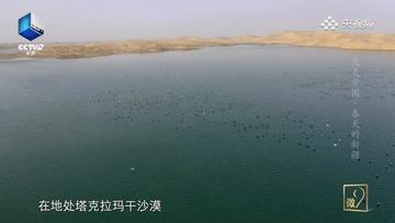 滴！跟着CCTV的镜头打卡*疆新**之春