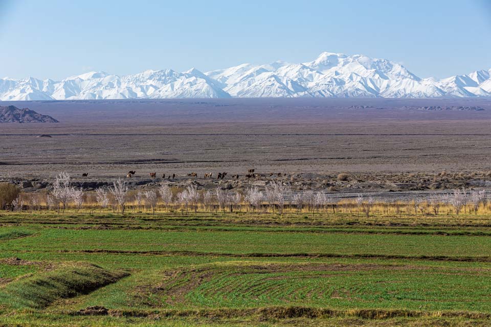 西行记札记,西行纪讲述的故事