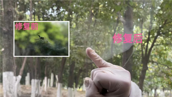 真实有效的玻璃修复液,神奇的玻璃修复液