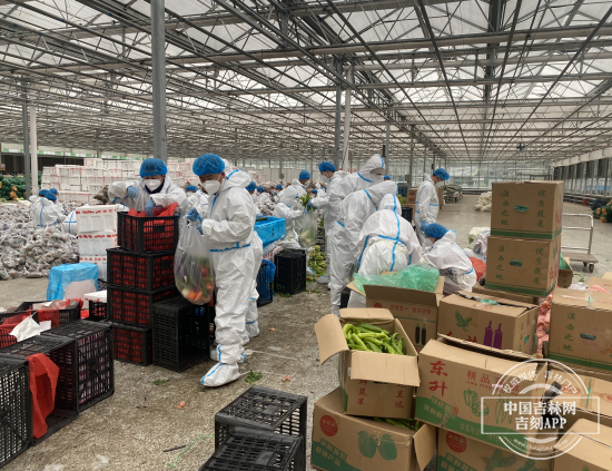 特别现场丨配送中心24小时运转！记者直击：“蔬菜包”如何送进小区大门里？