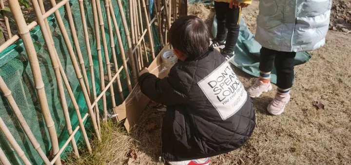 当班级里来了两只鸡……这群孩子不仅孵了蛋，赚了钱，还进行了生命教育