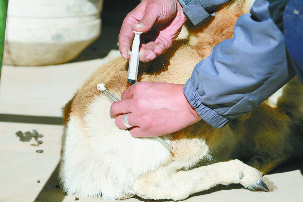 吴永林安徽,吴永林甘肃