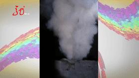 哈尔滨一小区楼道蚊子,一小区摇蚊肆虐居民防不胜防