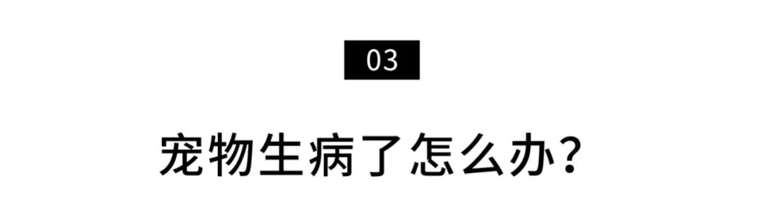 揭秘全国首个“宠物方舱”：揭秘全国首个“宠物方舱”：它们过得怎么样？它们过得怎么样？