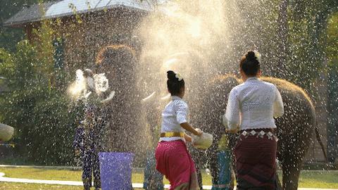 云南的西双版纳是什么样子,云南西双版纳是什么样的地方