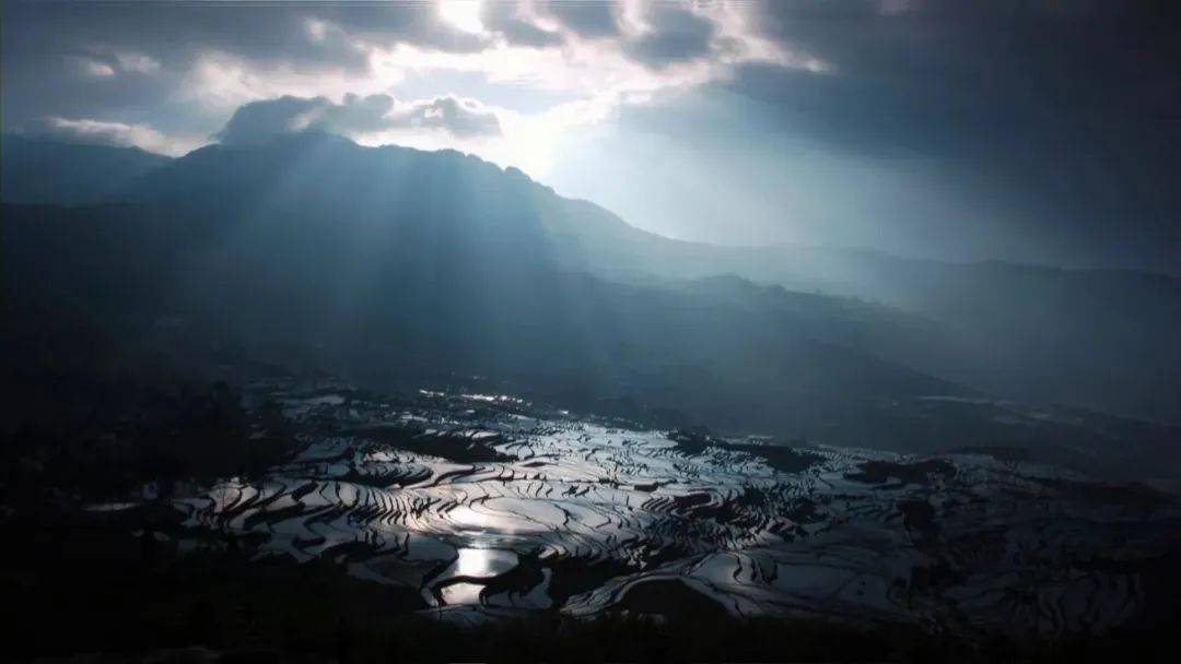 中国人独有的浪漫纪录片,中国人特有的浪漫纪录片