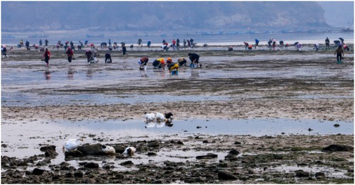 长海县旅游攻略海滩,长海县海岛赶海地点推荐