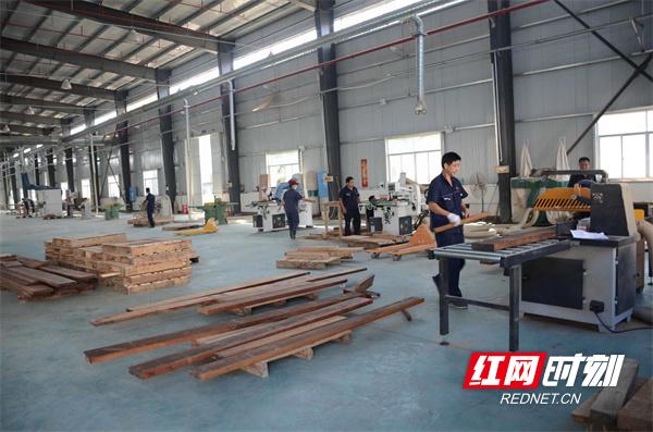 常德市优化营商环境十五条,常德市优化营商环境具体内容