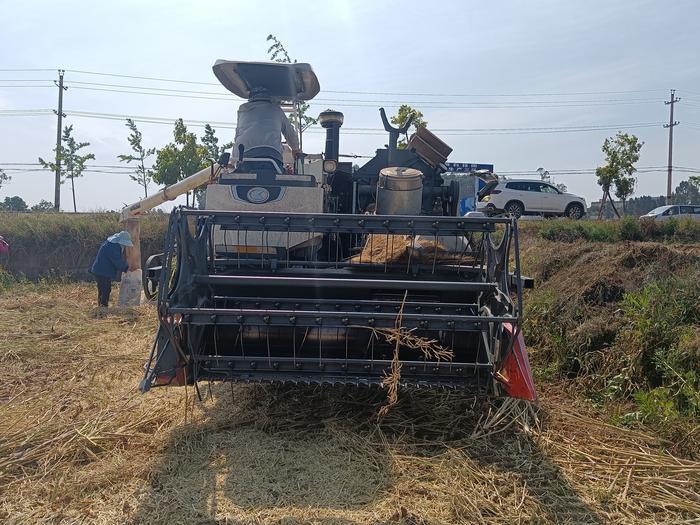 抓作风提效能促发展通知,持续转作风提效能办实事
