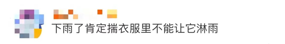 古驰和adidas联名雨伞,gucciadidas雨伞