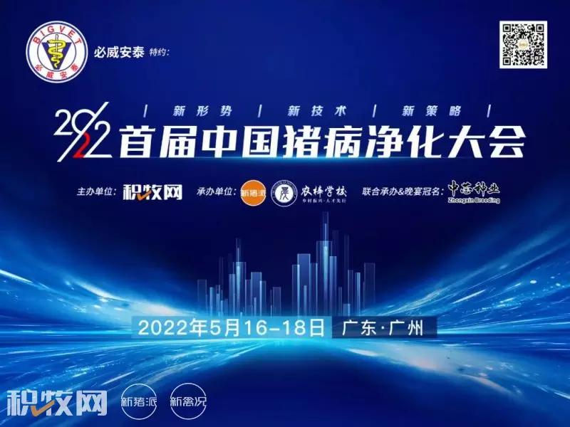 王声会：头均效益提高6376元！中芯种业蓝耳病净化体系详解