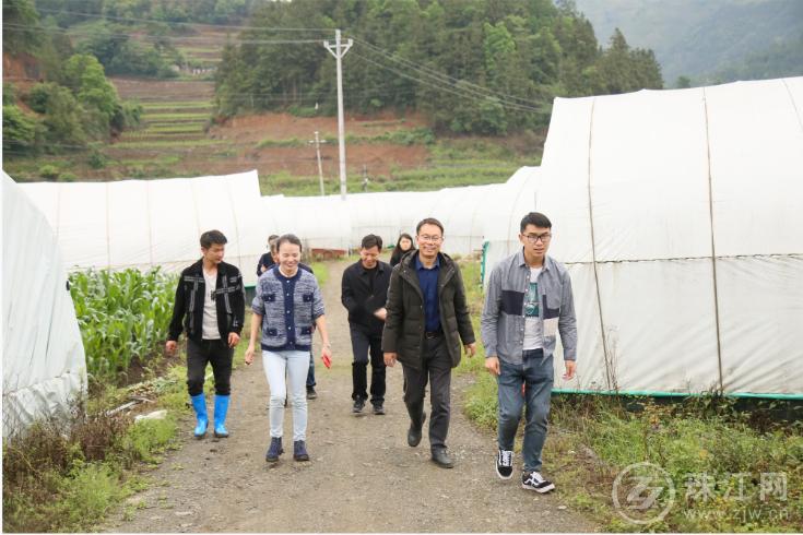浙江种植食用菌技术培训,农业技术专家进地头