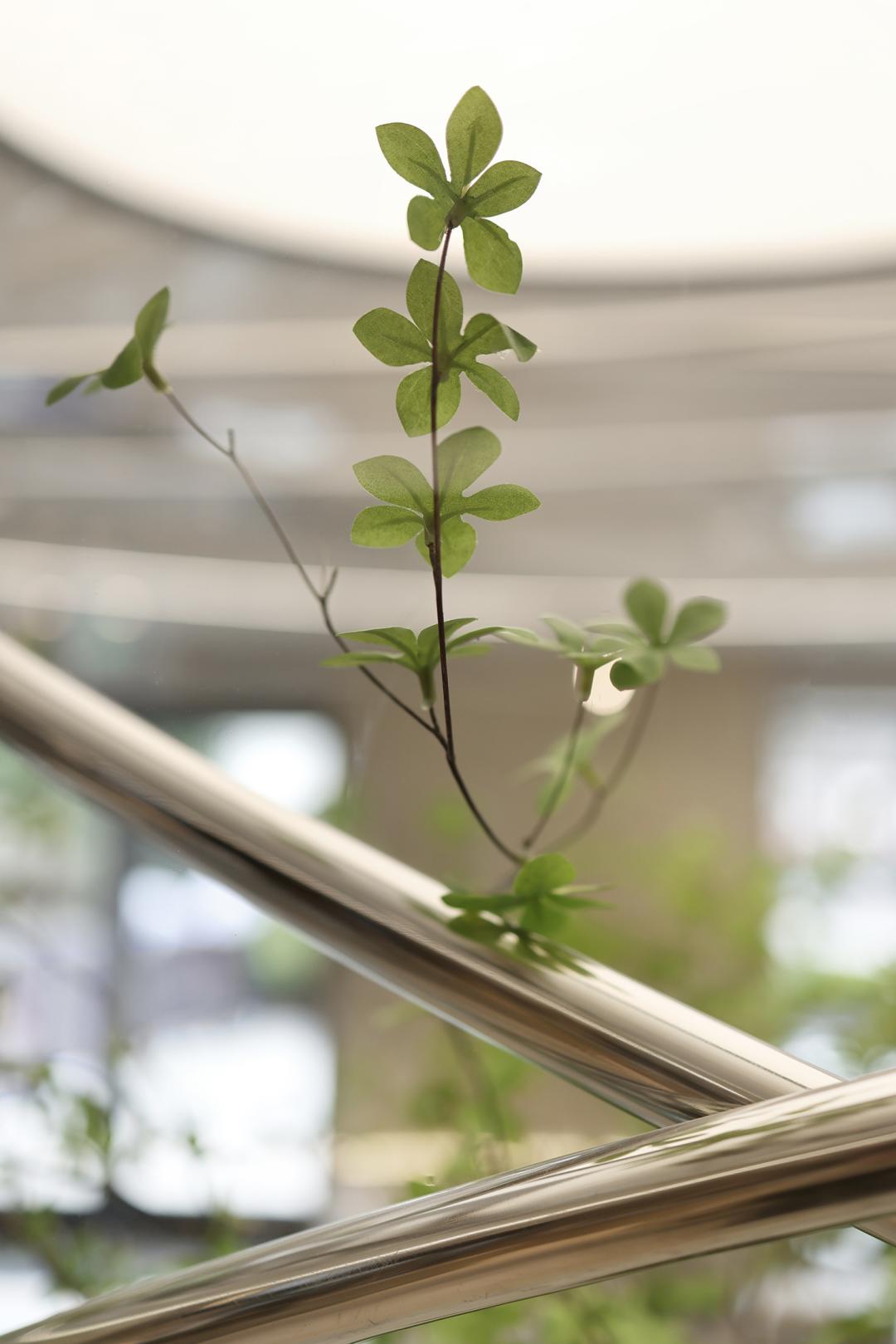 分析喜茶成功的原因,喜茶产品设计风格