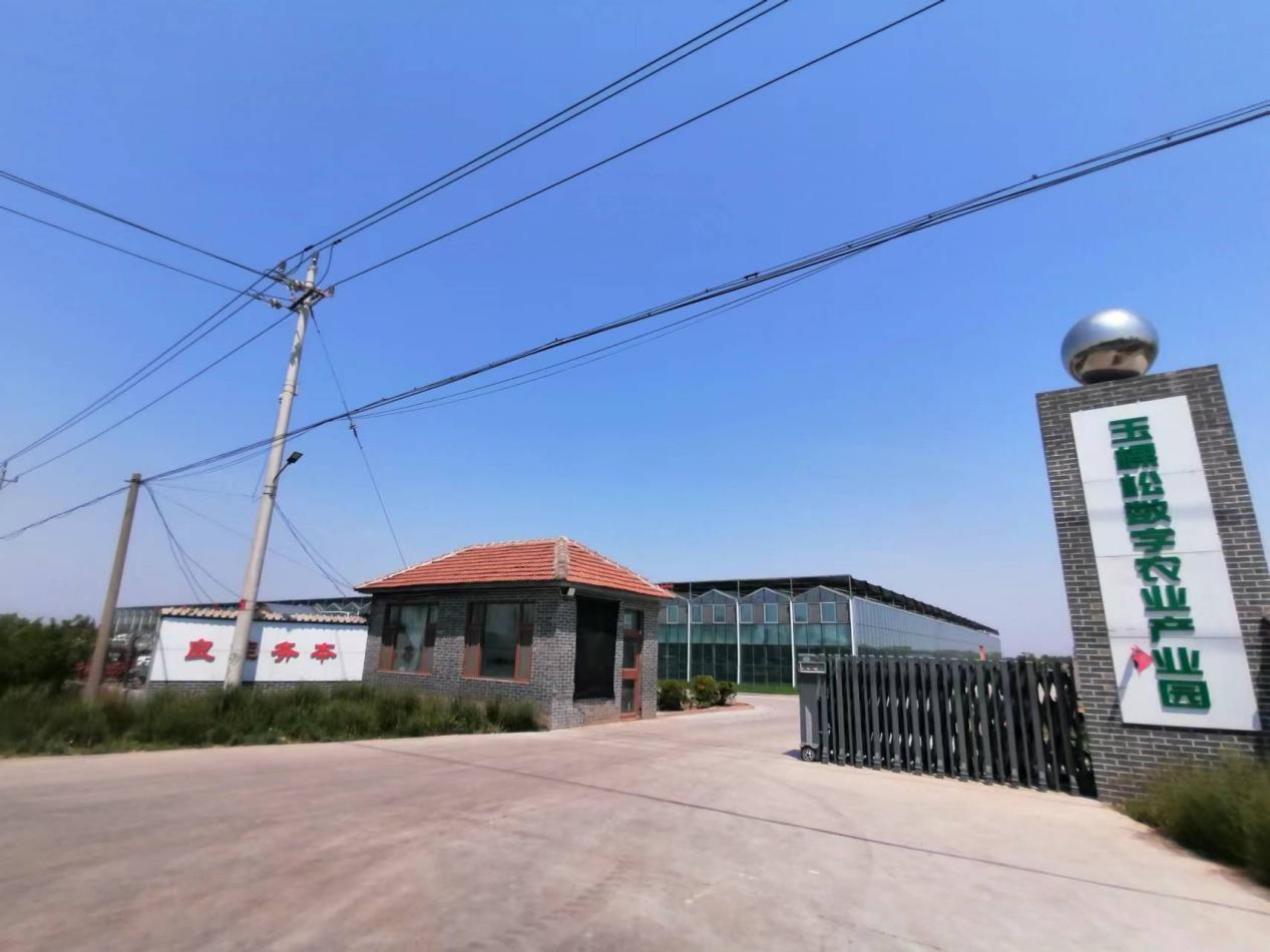 从空壳村逆袭为示范村,从贫困村到乡村蝶变