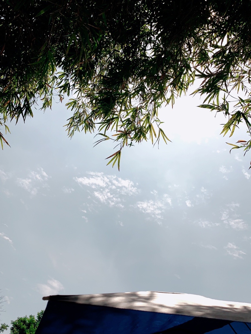 「618」小鱼太猖狂！转变思路才是王道