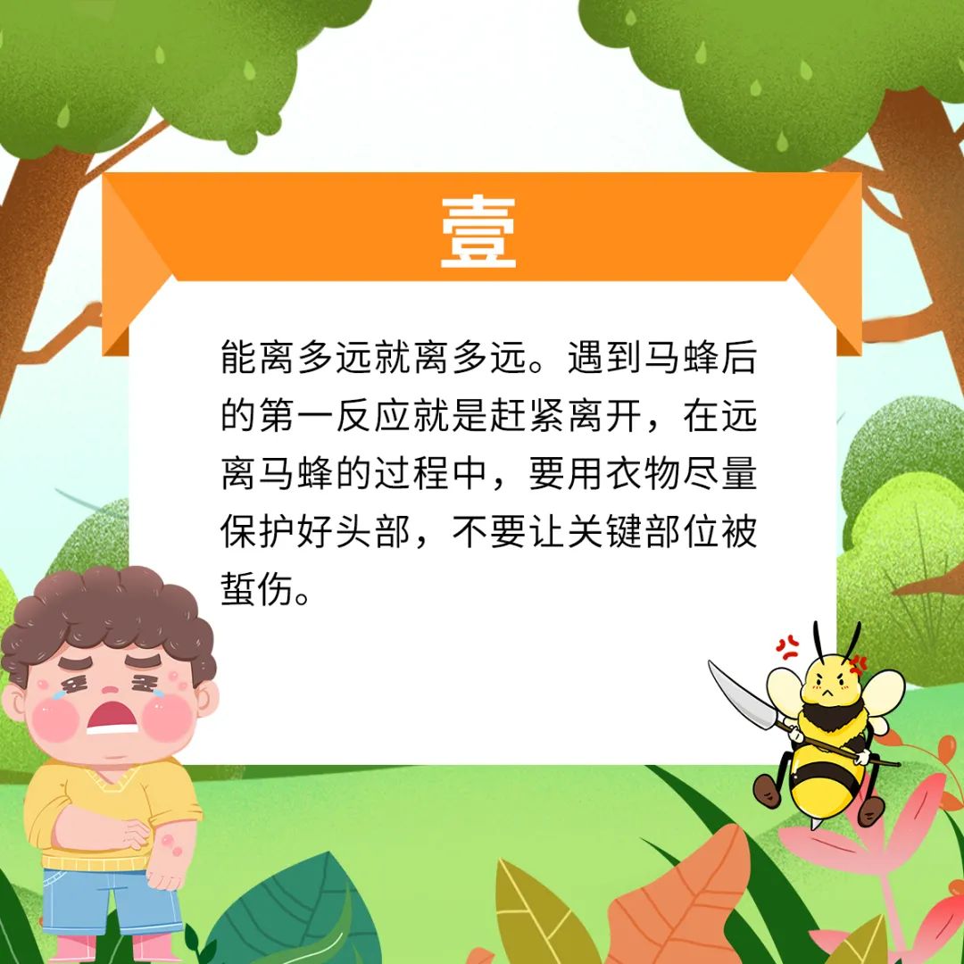 马蜂窝最佳驱蜂方法,马蜂窝的正确驱蜂方法