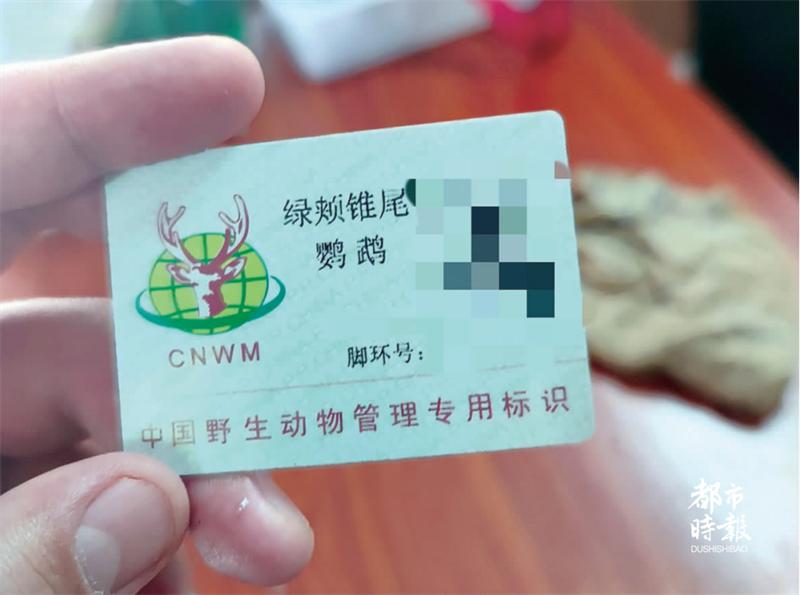 昆明市场上出现带“身份证”售卖的鹦鹉！商家、顾客有话说……