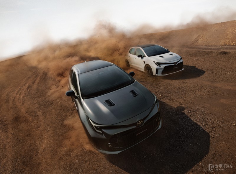 丰田大胡子三厢车,大号丰田轿车