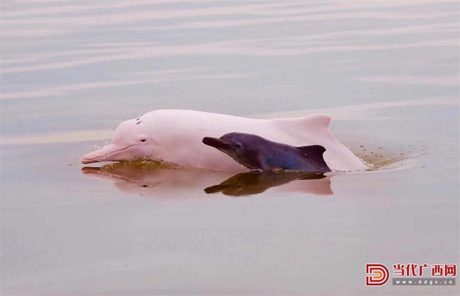 鍖楅儴婀剧殑寰瑧,瀹堟姢鍖楅儴婀炬渶缇庢捣宀哥嚎