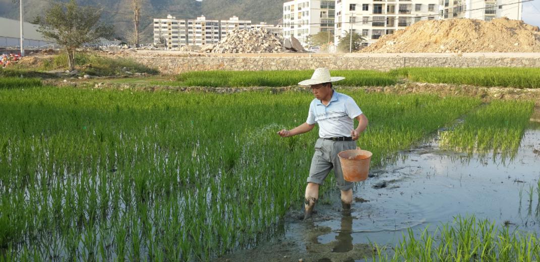从吃饱到吃好再到吃出健康,从吃饱到吃好的东西