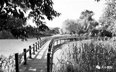 绿野仙踪一日游,去绿野仙踪丛林乐园游玩