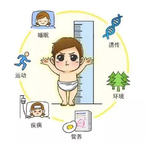 青少年摸高跳高神器不带灯光,助长高摸高神器感统训练