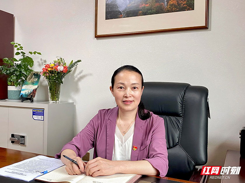 基层党组织党建工作创新,关于基层党建工作创新的建议