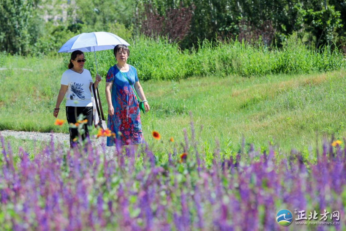 漫步城中,漫步草原美景