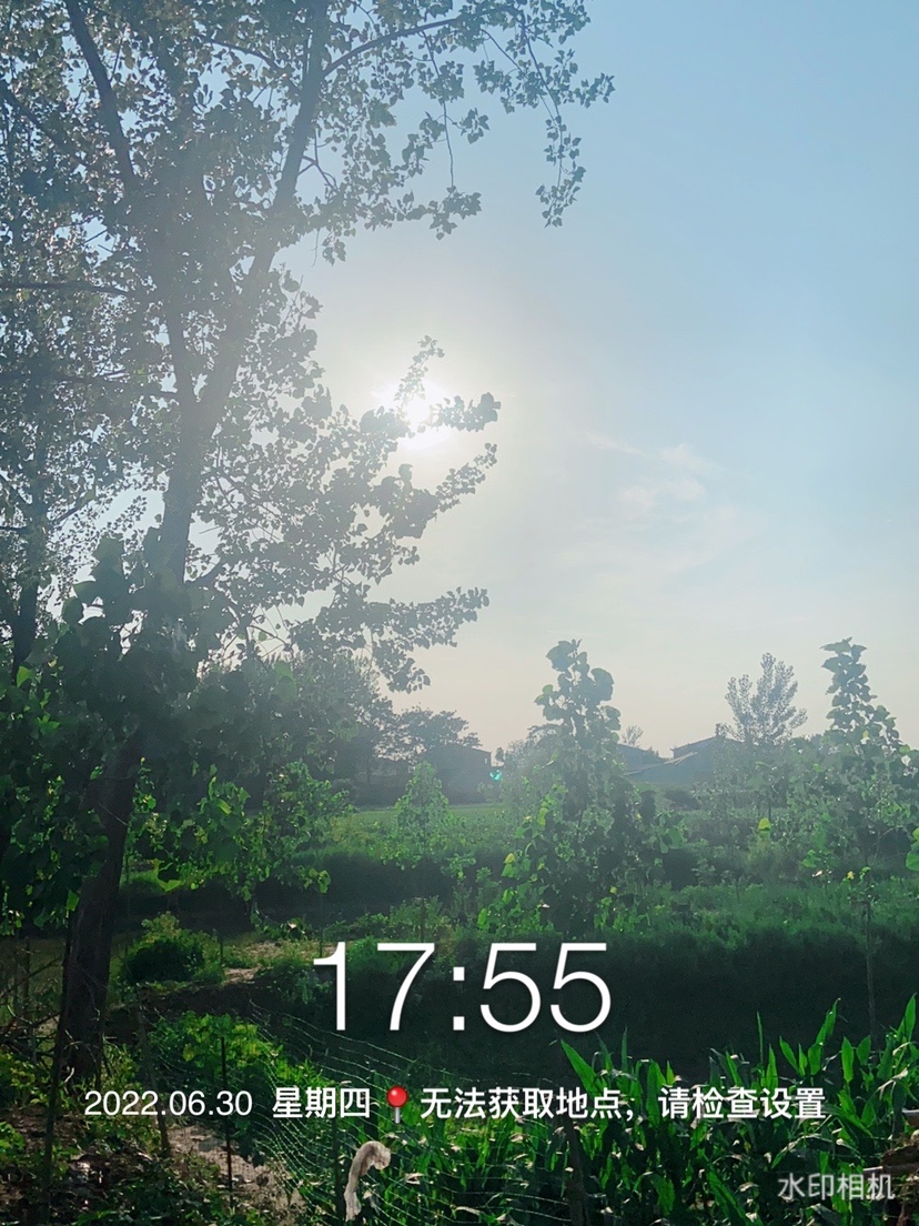 奶鲫连竿田螺闹,喜获板鲫把盆爆