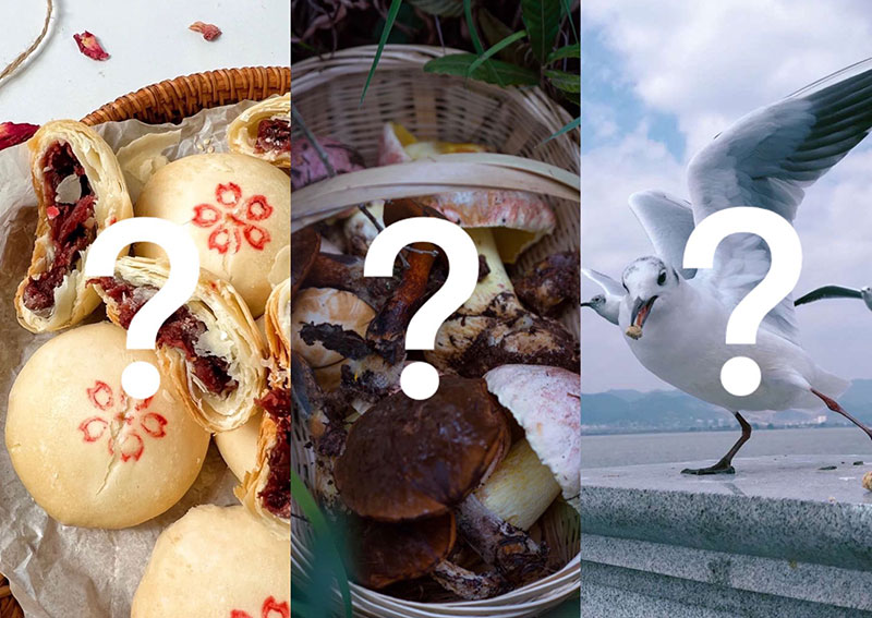 “昆明为营”系列报道·Memory篇|一池翠湖水,半部昆明史