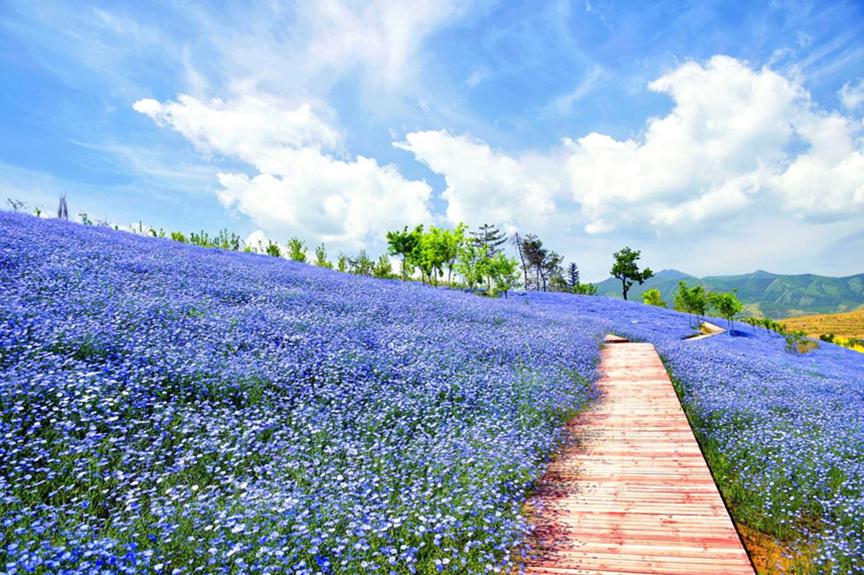 走进县城看发展桓台,榆中县生态创新城最新进展