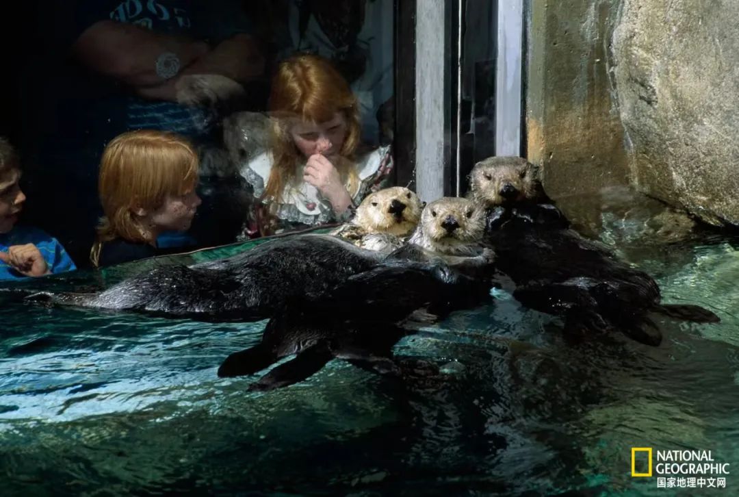 30张“最伟大的作品”