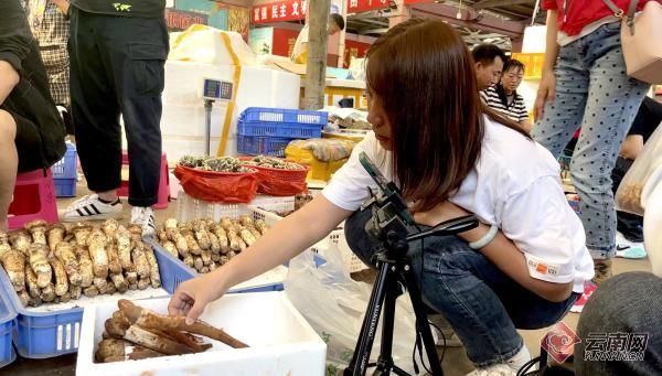 野生菌批发市场直播,五街野生菌直播带货