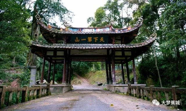 闽东之光｜郑承东：一条路的血色九贝（二）