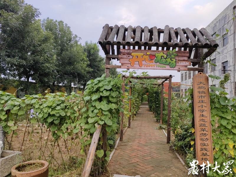 滕州羊庄乐羊羊成长乐园,滕州快乐户外俱乐部