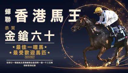 顶级马匹排名,世界排名前十的最强壮马匹