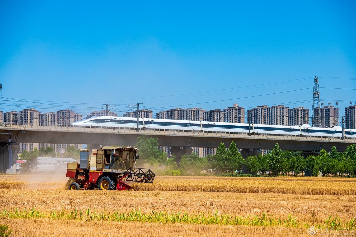 我为群众办实事活动献言献策,石家庄市我为群众办实事擂台赛