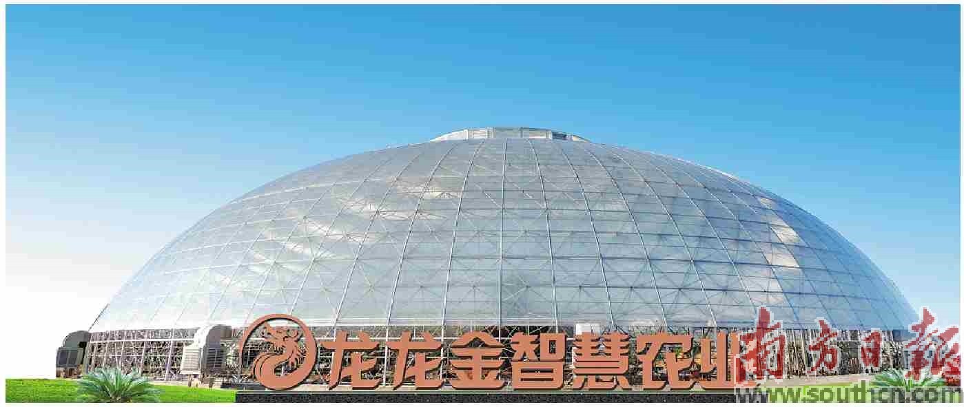 陆丰美丽乡村示范带,汕尾陆丰市掀起乡村振兴建设热潮