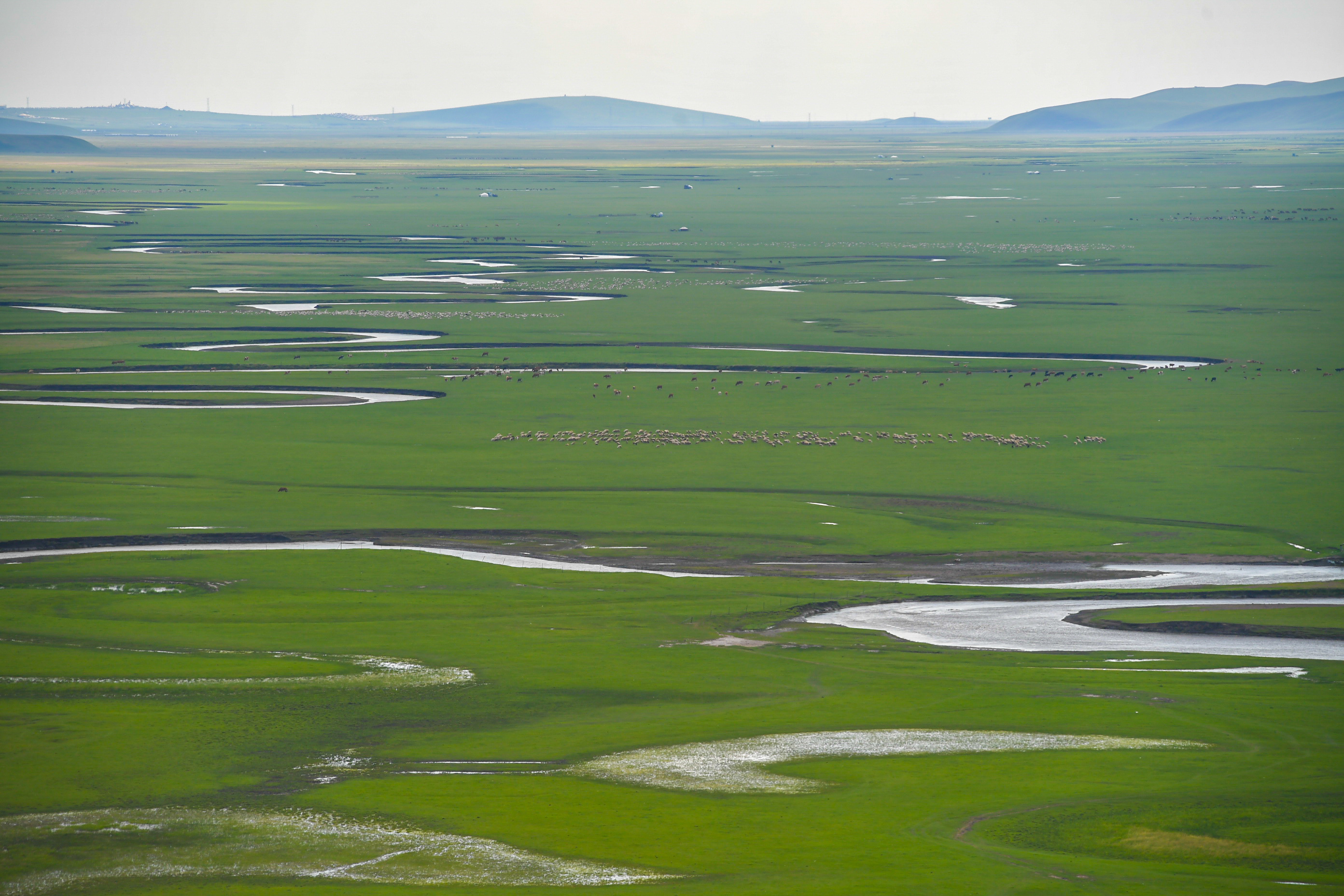 美丽中国草原,呼伦贝尔大美草原