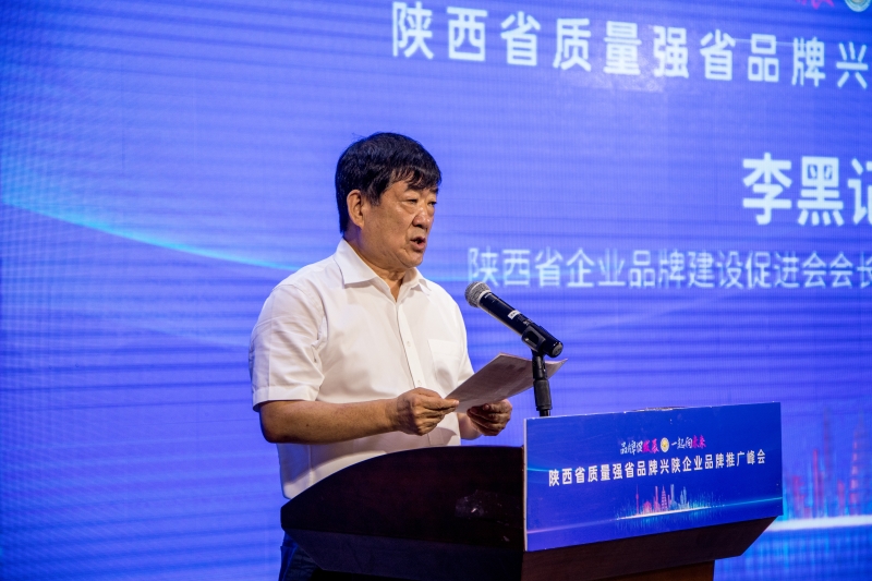 中国品牌日陕西峰会,首届陕西省品牌大会