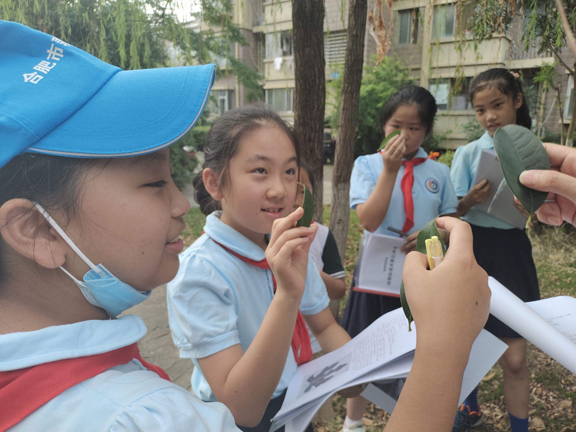 走进奇妙植物世界,植物科普走进校园