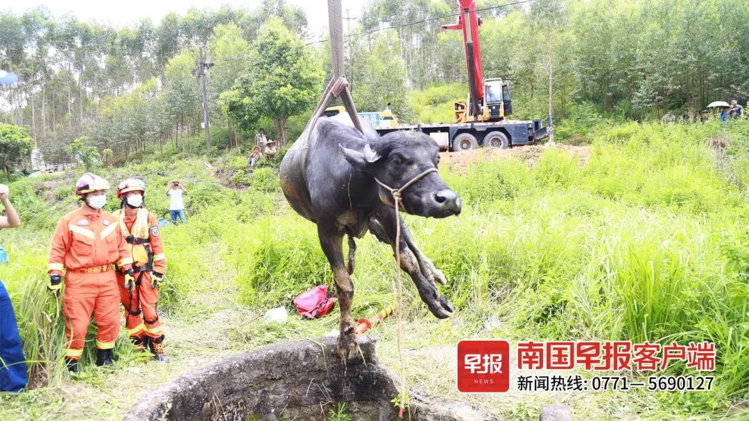 最近一女子和多人暧昧诈骗,新闻搭讪已婚妇女被骗