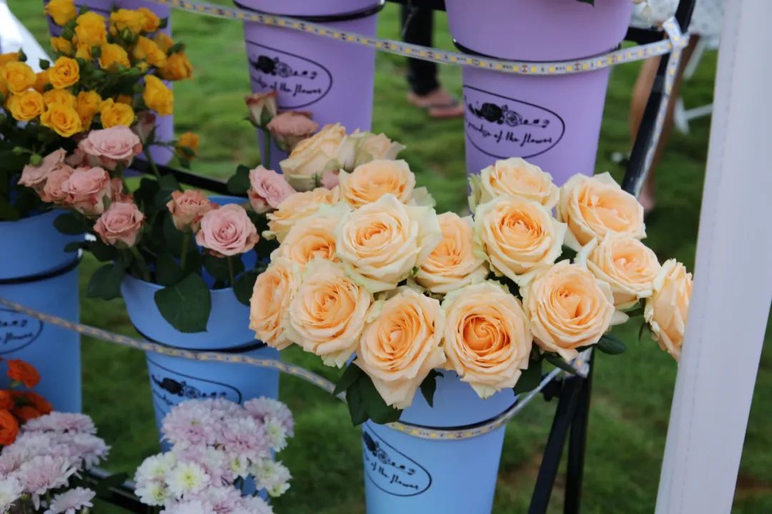 大理弥渡数字农业公园抖音团购,大理弥渡数字农业公园优惠