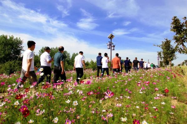 沭阳乡村振兴直播间,2018沭阳乡村振兴战略实施方案