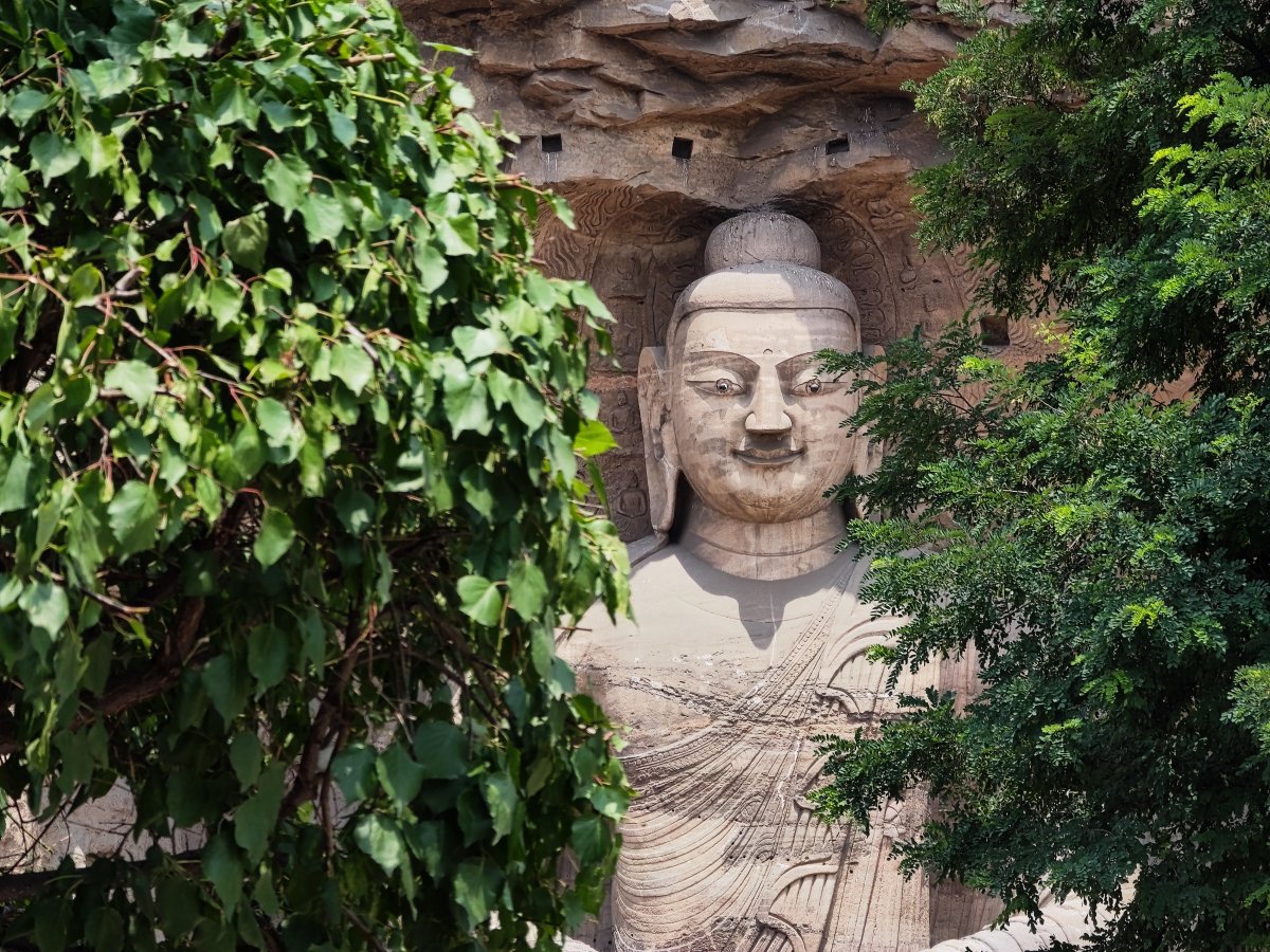 灏忕背12sultra鎷嶇収鍘绘帀灏忕背logo,灏忕背灏忕背12sultra璇勬祴